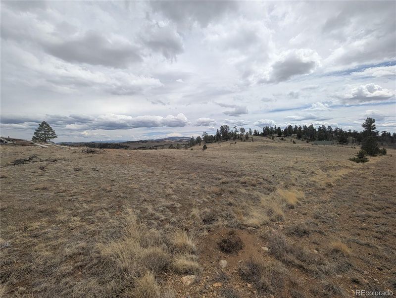 374 Chotaw Rd, Hartsel, CO 80449