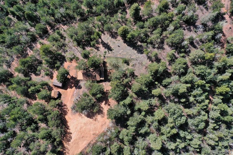 222 Fluorite Ln, Divide, CO 80814