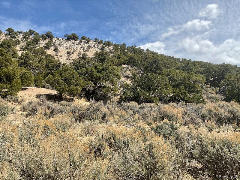 Lot 2060 Sandoval Rd, Fort Garland, CO 81133