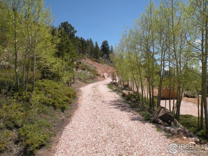 35 Concho Ct, Red Feather Lakes, CO 80545