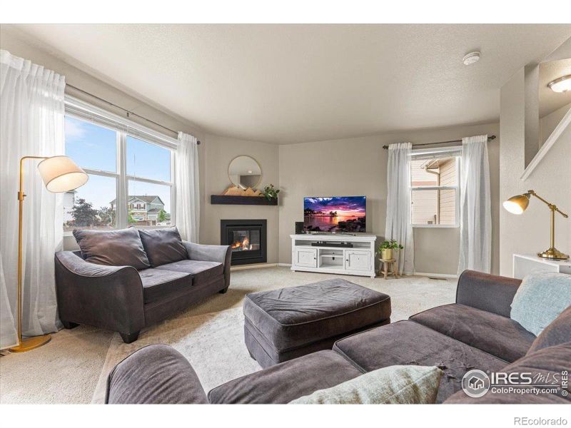 6747 Grainery Rd, Timnath, CO 80547