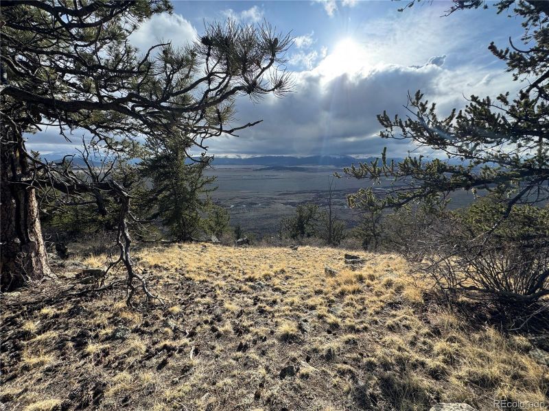 4513 Middle Fork Vi, Fairplay, CO 80440