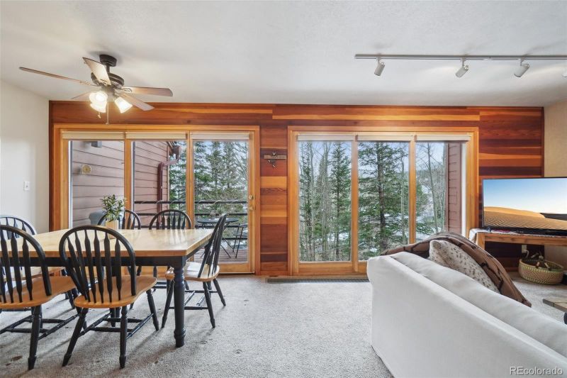 91300 Ryan Gulch Rd #319, Silverthorne, CO 80498