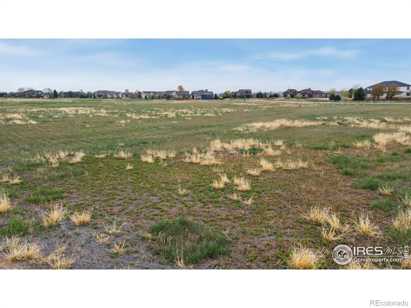 679 Madera Way, Windsor, CO 80550