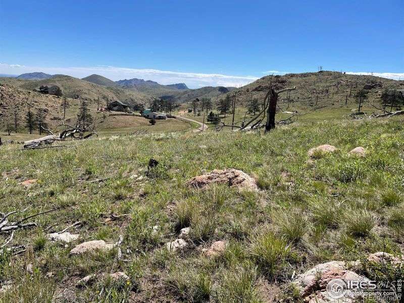 453 Horse Mountain Dr, Livermore, CO 80536