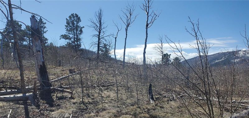 Lot 1667 Towey Pl, Fort Garland, CO 81133