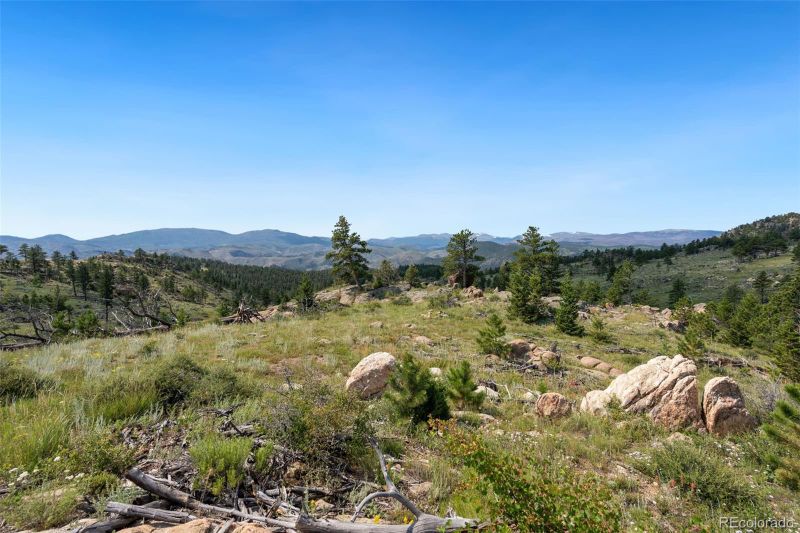 5460 N Rim Rd, Livermore, CO 80536
