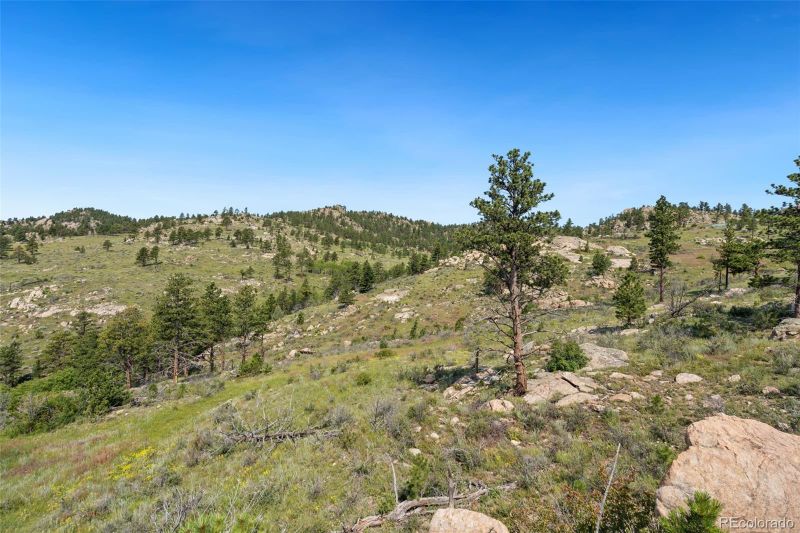 5460 N Rim Rd, Livermore, CO 80536