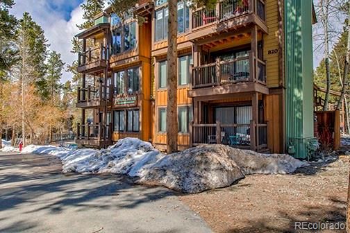 820 Columbine Rd #10, Breckenridge, CO 80424