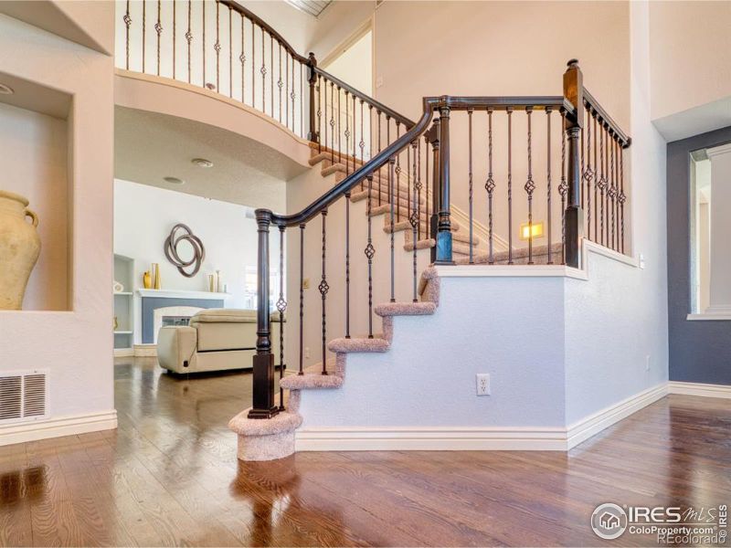 10583 Oakmoor Cir, Parker, CO 80134
