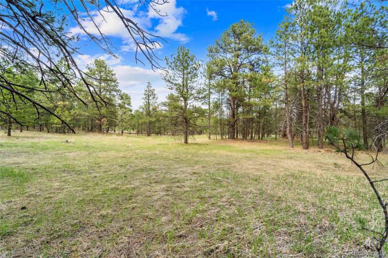 8395 Pine Cone Rd, Colorado Springs, CO 80908