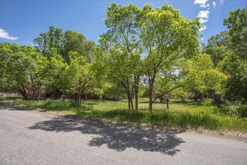 000 Tomichi Ave Lot 3 & 4, Poncha Springs, CO 81242