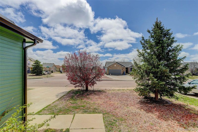 7884 Gladwater Rd, Peyton, CO 80831