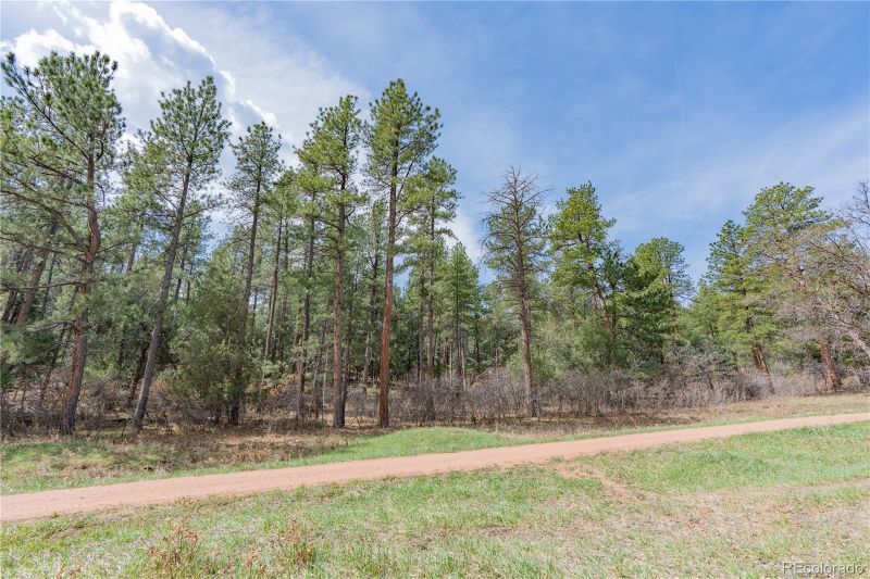 8253 Bannock Dr, Larkspur, CO 80118