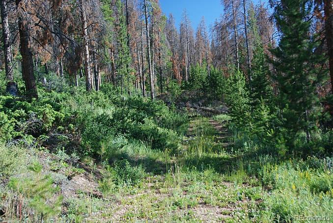 58 Gcr 6325, Granby, CO 80446