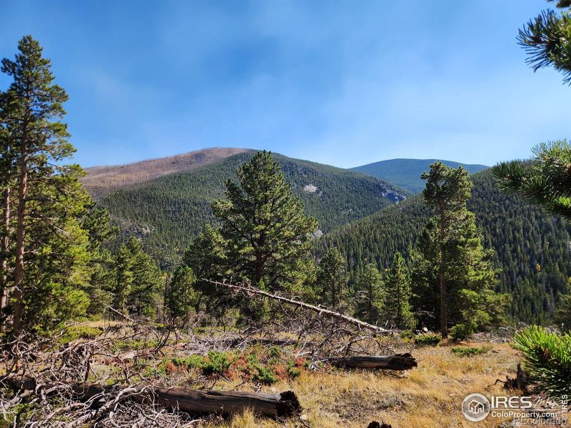 13729 Pingree Park Rd, Bellvue, CO 80512