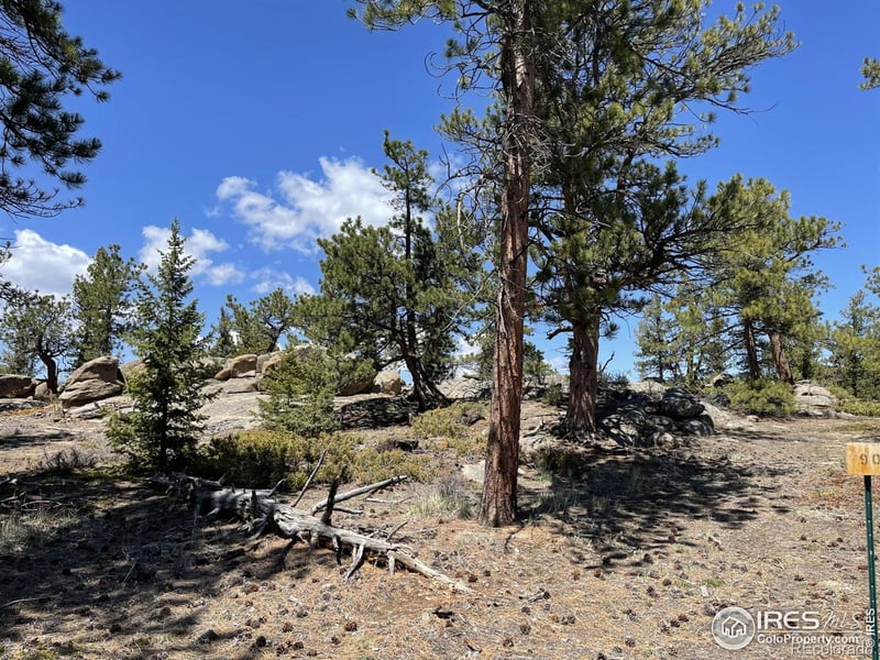 3020 Lake Arapahoe Ct, Red Feather Lakes, CO 80545