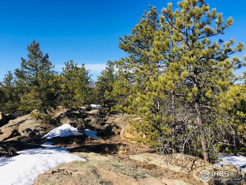 3020 Lake Arapahoe Ct, Red Feather Lakes, CO 80545
