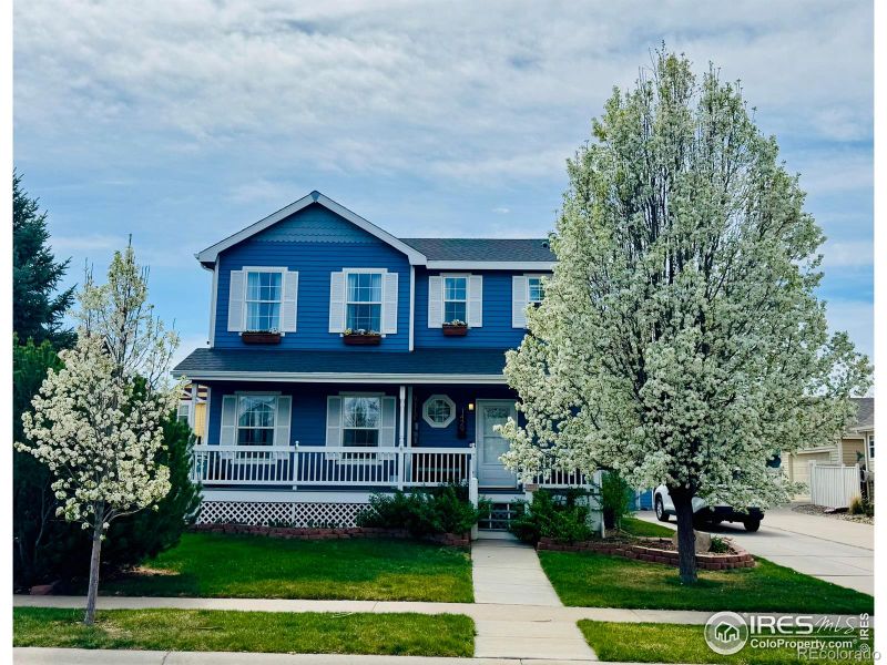 1429 Fairfield Ave, Windsor, CO 80550