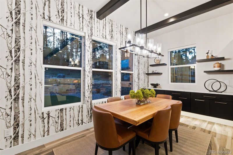 16244 Thunder Cat Way, Monument, CO 80132