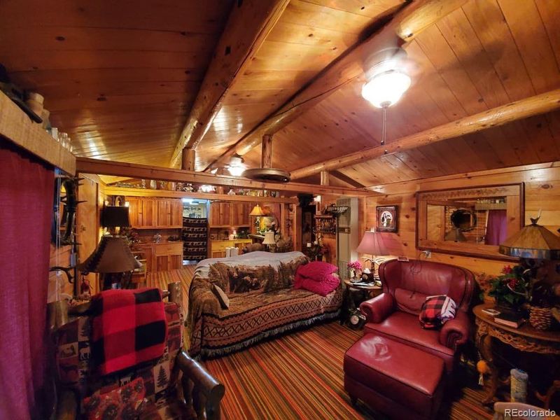 22585 County Road 292, Nathrop, CO 81236