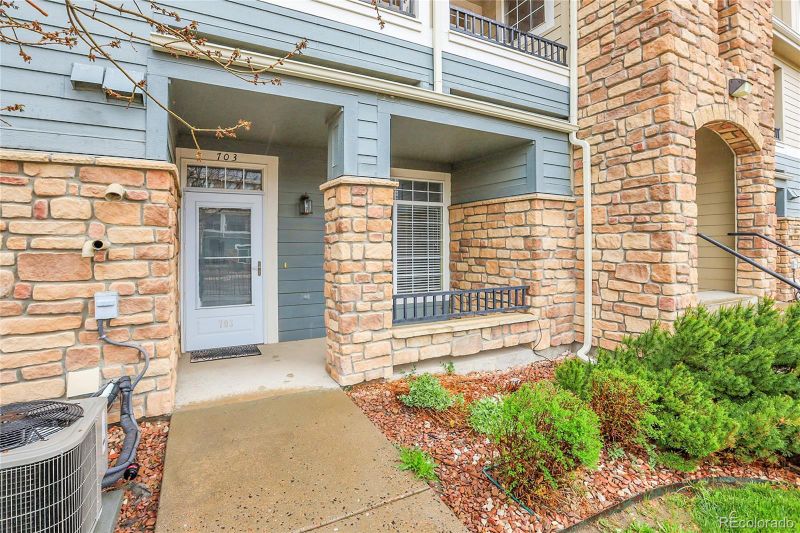 457 Black Feather Loop #703, Castle Rock, CO 80104