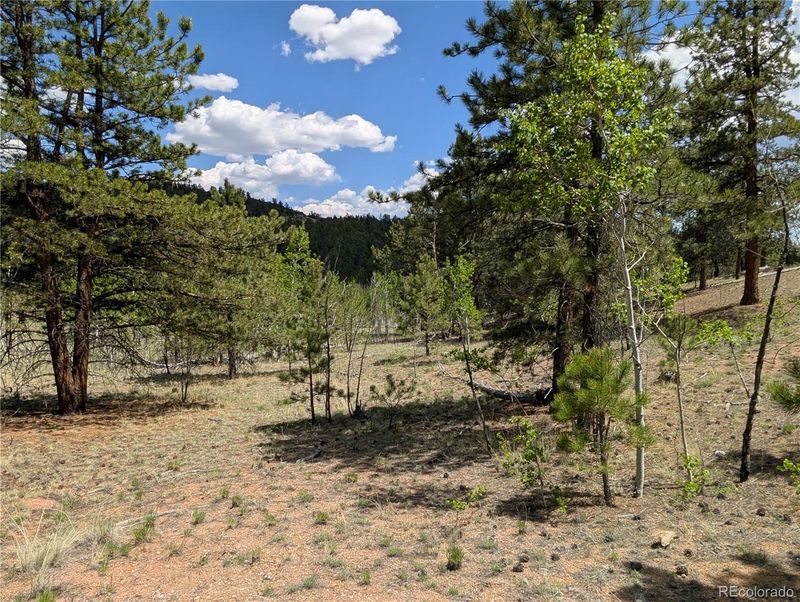 2053 Badger Creek Rd Lot 071, Hartsel, CO 80449