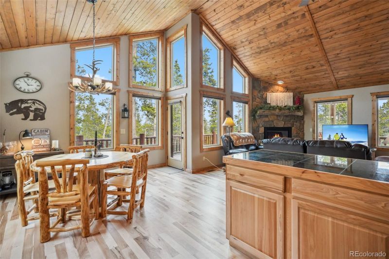 1074 Bobcat Ln, Fairplay, CO 80440