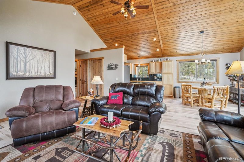 1074 Bobcat Ln, Fairplay, CO 80440