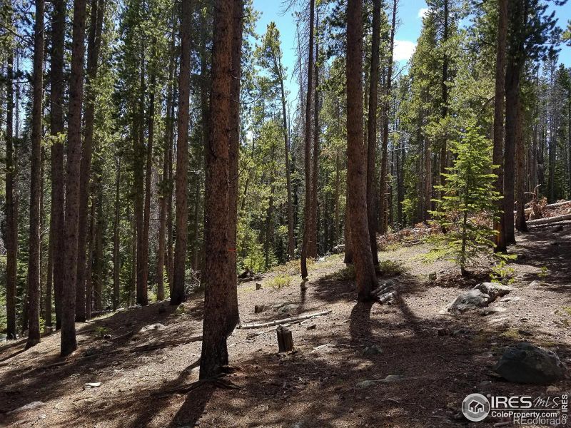 274 Arapahoe Way, Red Feather Lakes, CO 80545