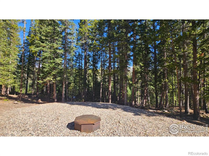 2320 Ottawa Way, Red Feather Lakes, CO 80545