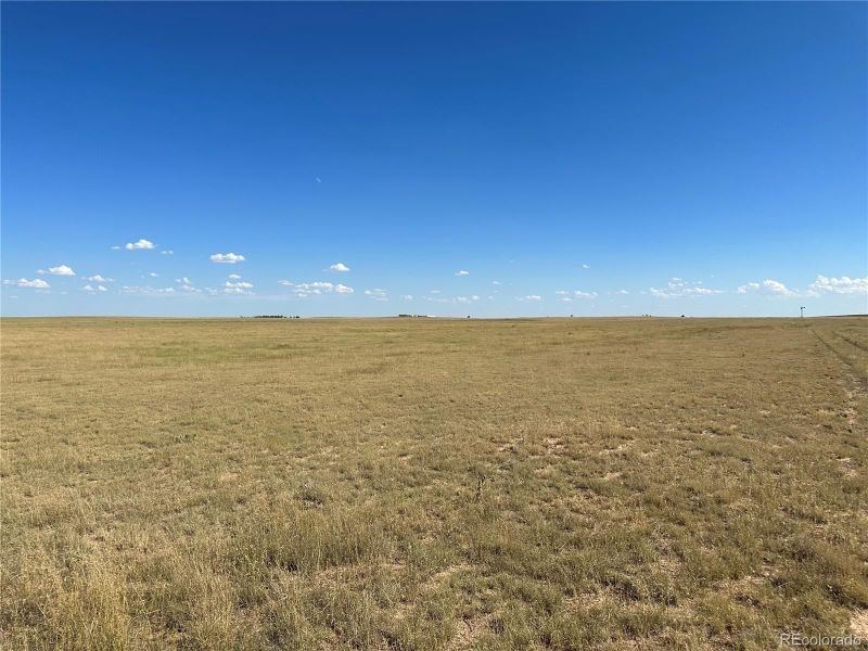 Bowen Rd, Rush, CO 80833