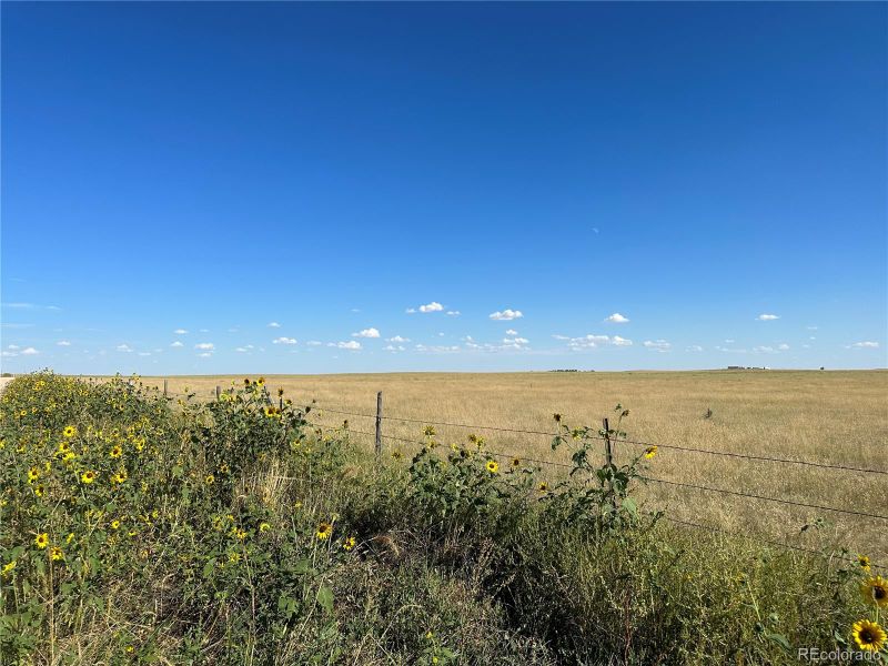 Bowen Rd, Rush, CO 80833