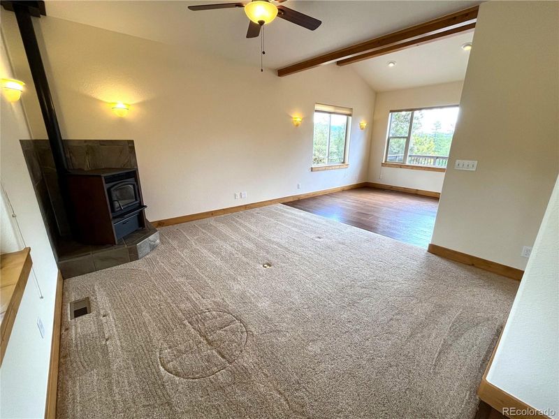 30684 Mountainside Dr, Buena Vista, CO 81211