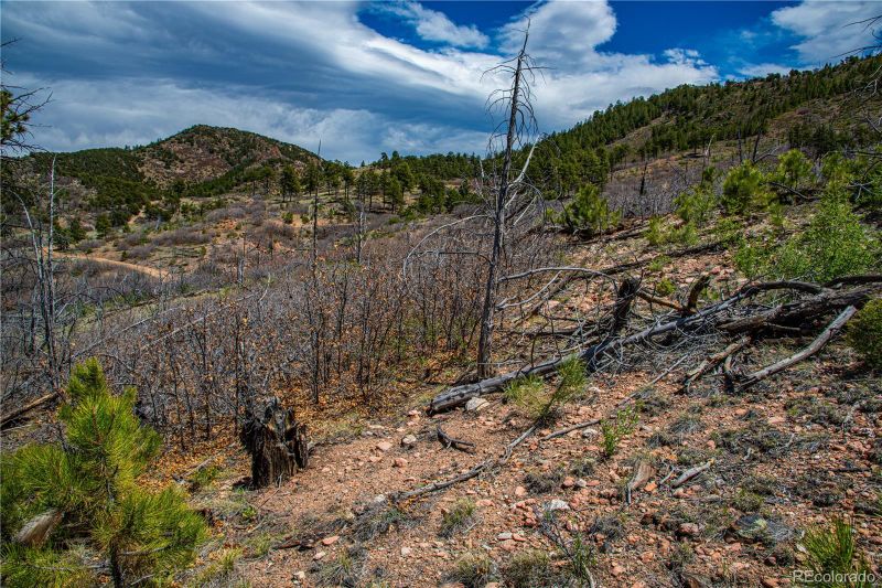 100 Cottonwood Dr, Cotopaxi, CO 81223