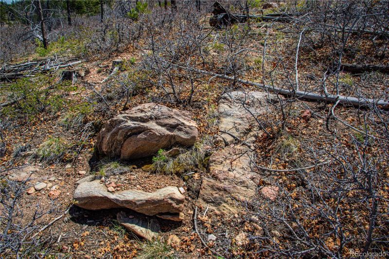 100 Cottonwood Dr, Cotopaxi, CO 81223