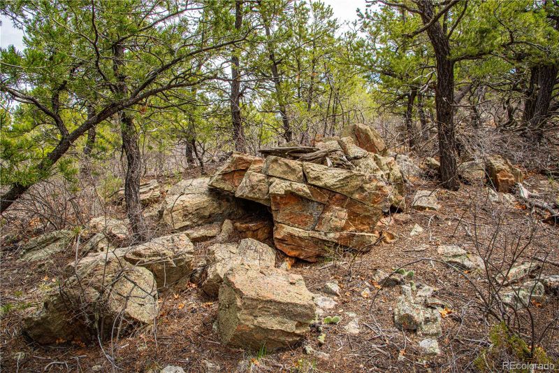 200 Cottonwood Dr, Cotopaxi, CO 81223