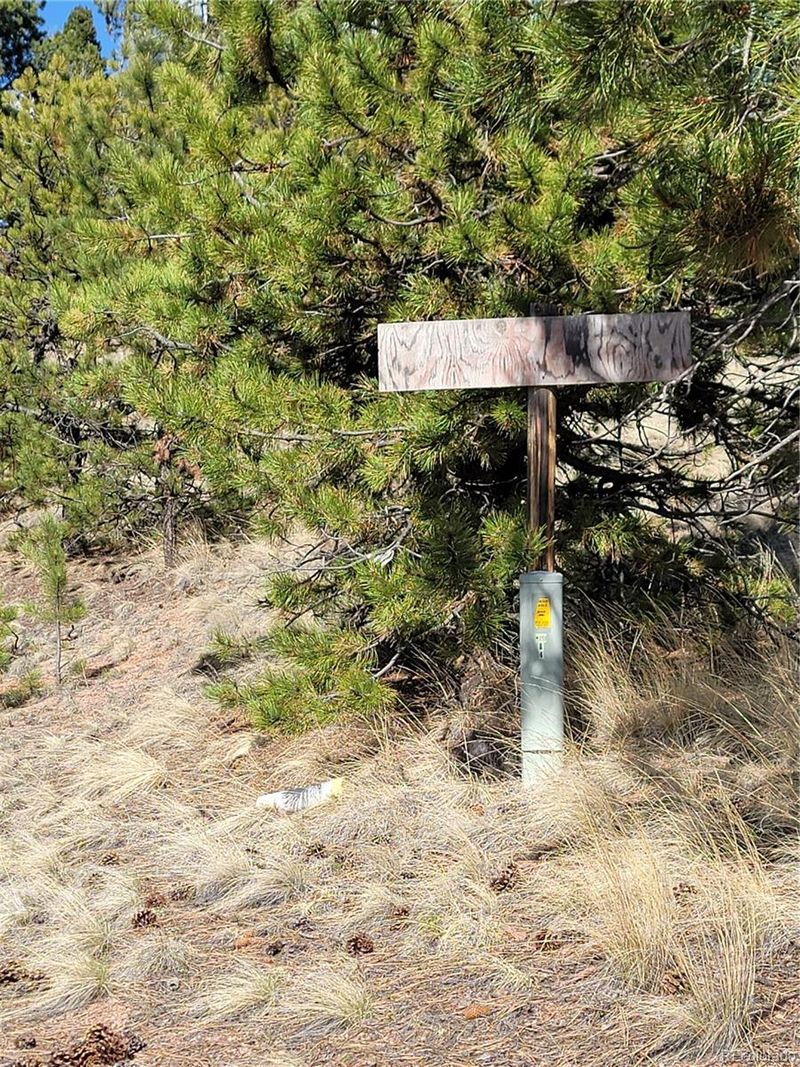 84 Victor Cir, Florissant, CO 80816