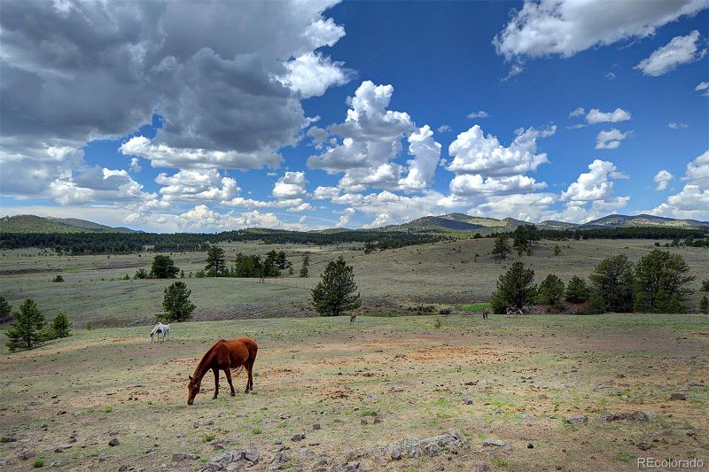 641 Old Kathleen Trl, Guffey, CO 80820