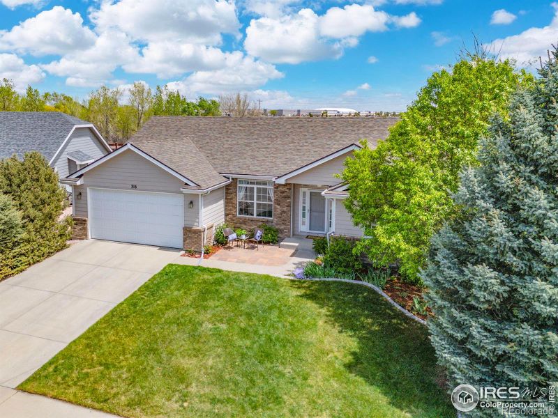316 Whitney Bay, Windsor, CO 80550