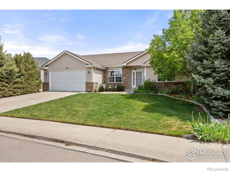 316 Whitney Bay, Windsor, CO 80550