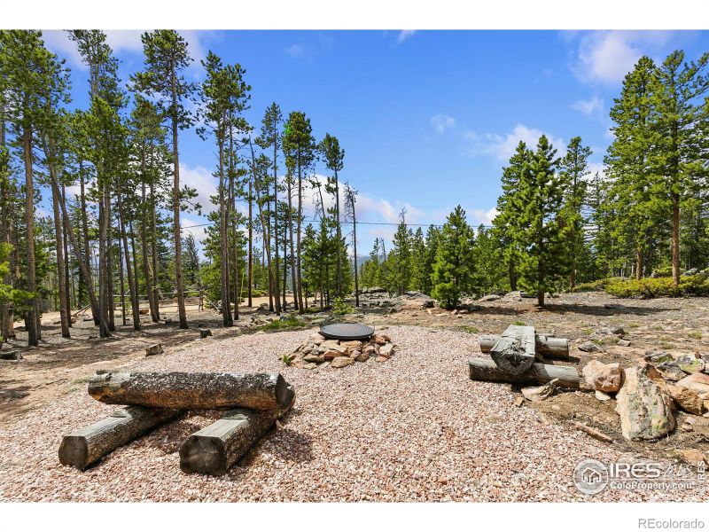 1238 Jicarilla Trl, Red Feather Lakes, CO 80545