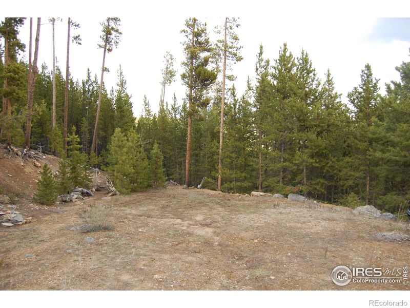 226 Shoshoni Dr, Red Feather Lakes, CO 80545