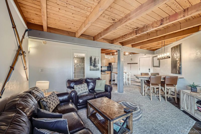 4200 Lodge Pole Cir #103, Silverthorne, CO 80498