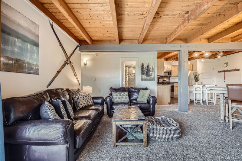 4200 Lodge Pole Cir #103, Silverthorne, CO 80498
