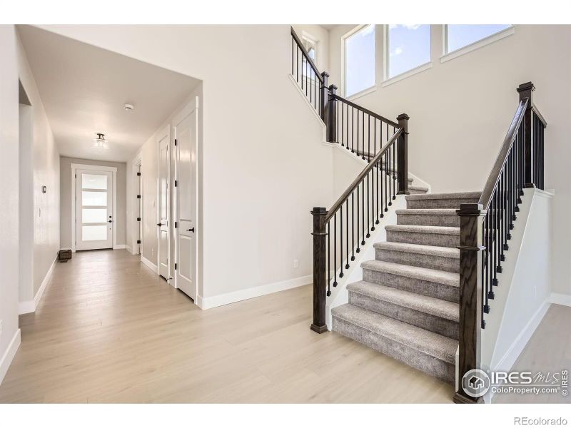 1679 Crystalline Dr, Windsor, CO 80550