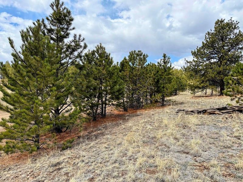 333 Jasper Way, Hartsel, CO 80449