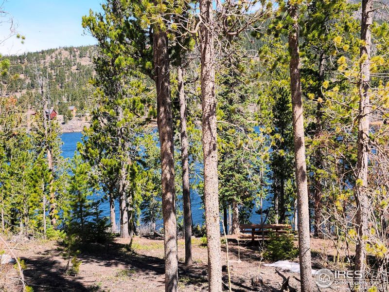 86 Timicua Ct, Red Feather Lakes, CO 80545
