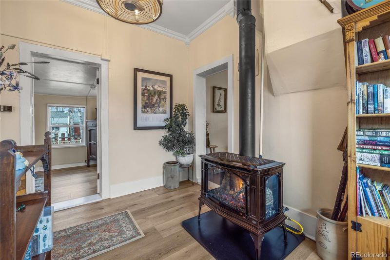 521 E 5th St, Leadville, CO 80461
