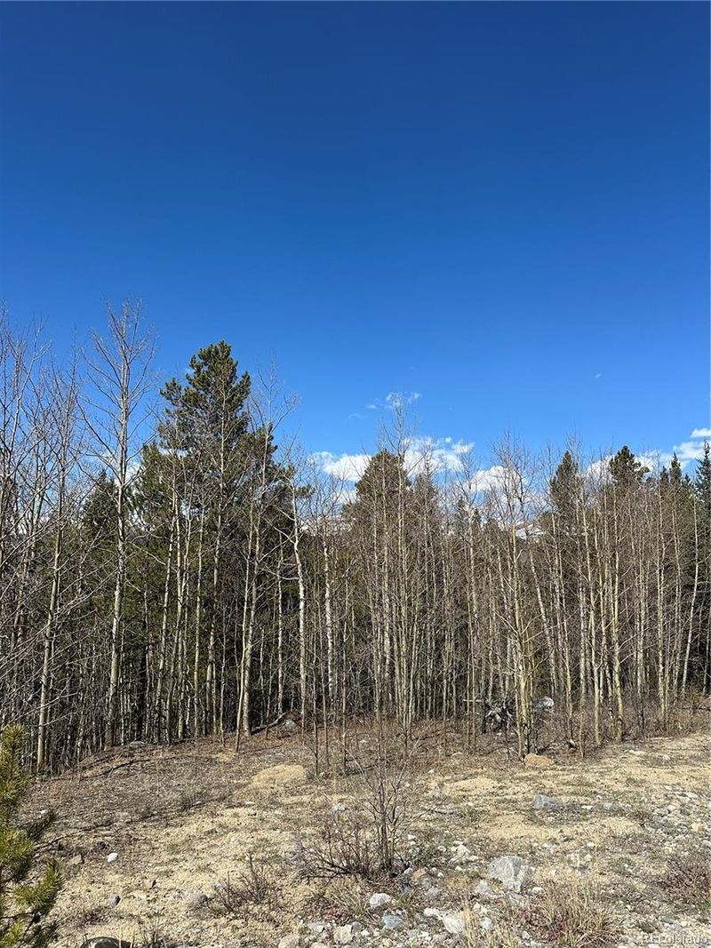 County Road 665, Alma, CO 80420
